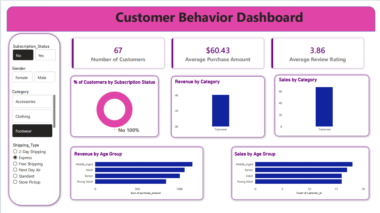 Customer Behavior Analytics Power BI Layout View